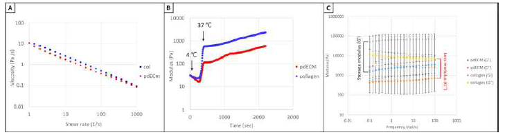 췌장 유래 바이오잉크의 점탄성 특성 분석. 전단속도에 따른 점성 측정 (A), 온도 증가에 따른 복소 탄성률 측정(B), 가교결합 후 저장 탄성률과 손실 탄성률 측정 (C)