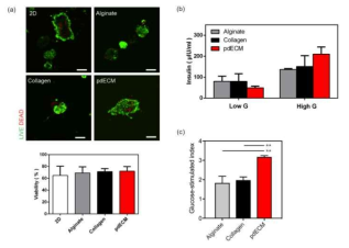 Rat으로부터 분리한 췌도 세포를 이용하여 alginate, pdECM 환경에서 5일간 배양한 후 (a) Live/dead cell staining의 정성적, 정량적 분석 및 (b, c) 포도당 농도 변화에 따른 인슐린 분비에 대한 결과