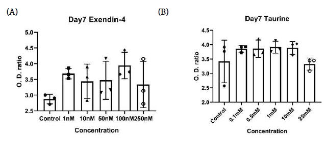 농도별 약물 투여 7일 후 실험군의 분열능 검증(CCK-8) (A) Exendin-4 투여군 및 (B) Taurine 투여군