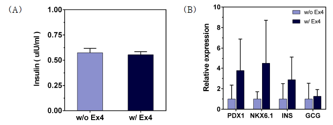 유도만능줄기세포 유래의 인슐린 분비 세포 봉입 배양 후 기능성 약물 Exendin-4 처리 실험 결과 (A) 분비된 인슐린의 정량적 분석 및 (B) 유전자 발현 결과