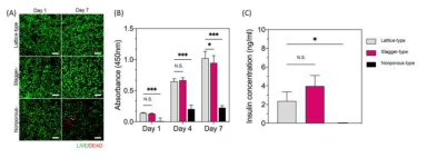 Stagger type 면역 차단용 구조체 세포 생존율 및 insulin 분비량. 면역 차단용 구조체 내부 세포 Live/Dead assay (A), 면역 차단용 구조체 cck-8 assay(B), Insulin 분비량 비교 결과(C)