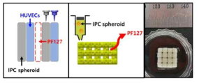 PF127 희생층 프린팅을 이용한 다공성 구조체 제작