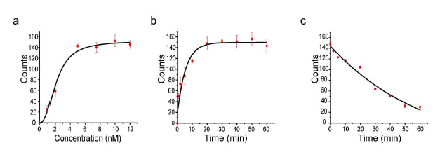 (a) Number of fluorescent binding spots between 5nM of phosphorylated peptide at threonine residue (TAMRA-RRRHINRKRpTLRR, pT-peptide) to 100nM of immobilized KPNA. The on-rate constant was kon= 0.18±04 min-1. (d) Number of binding spots after incubating 5nM of pT-peptide with 100nM KPNA for 1h and rinsing with T50 buffer. The counts revealed an off-rate constant koff= 0.03±008 min-1. © Number of binding spots after incubating different concentrations of pT-peptide with KPNA for 20min, and Km is estimated to be 6±01 nM from Hill equation[y = Vmax*xn/(kn+xn)] and n=2.33±0.47. All binding spot counts were averaged over an imaging area of 2500 μm2