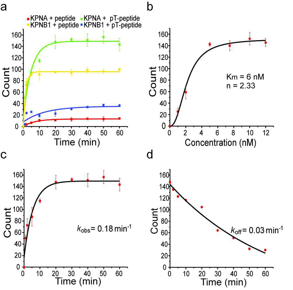 (a) Number of fluorescent binding spots between 5 nM of phosphorylated peptide at threonine residue (TAMRA-RRRHINRKRpTLRR, pT-peptide) to 100 nM of immobilized KPNA. The on-rate constant was kon= 0.18±04 min-1. (d) Number of binding spots after incubating 5nM of pT-peptide with 100nM KPNA for 1h and rinsing with T50 buffer. The counts revealed an off-rate constant koff= 0.03±008 min-1. © Number of binding spots after incubating different concentrations of pT-peptide with KPNA for 20min, and Km is estimated to be 6±01 nM from Hill equation[y = Vmax*xn/(kn+xn)] and n=2.33±0.47. All binding spot counts were averaged over an imaging area of 2500 μm2