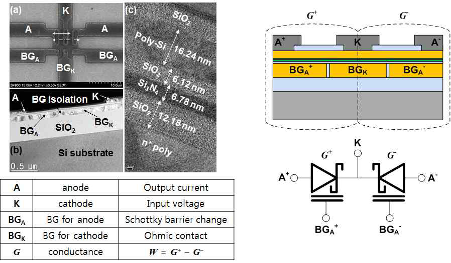 본 연구팀에서 제작한 Gated Schottky Diode (GSD) 시냅스 소자