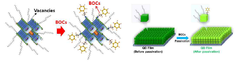 페로브스카이트 발광체의 굴절률 제어를 위해 도입한 BOCs 및 이를 통해 형성된 발광체 박막 모식도