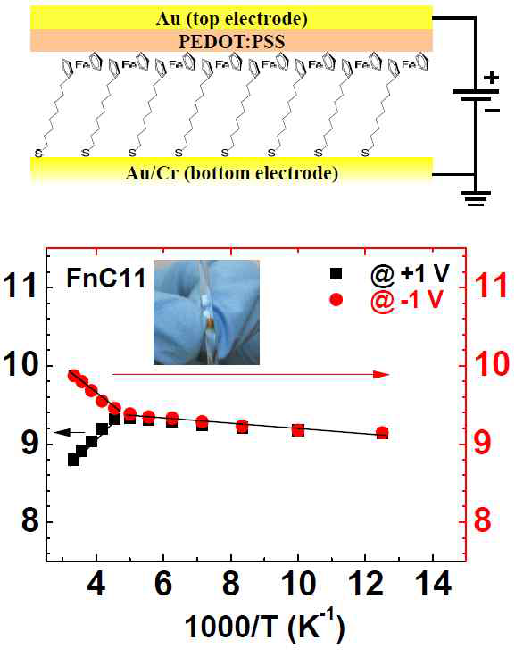 Ferrocene-alkanethiolate 분자전자소자의 소자 구조와 Arrhenius plot (Jeong et al. Adv. Func. Mater. 24, 2472 (2014))