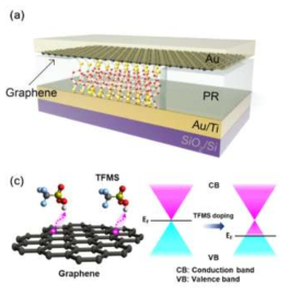 분자소자의 구조와 그래핀 도핑에 대한 모식도. (Jang et al. ACS Applied Materials & Interfaces, 9, 42043 (2017))