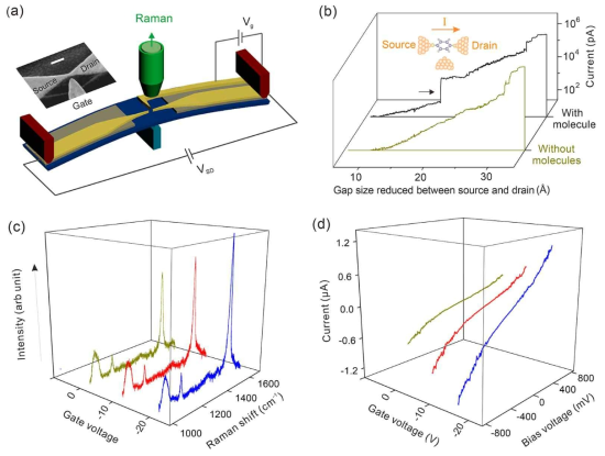 (a) 1,4-benzendithiol 분자에 대한 FERS 소자 구조. (b) gap size에 따른 current curve 그래프. (c) Gate voltage에 따른 Raman intensity의 enhancement. (d) Gate voltage에 따른 FERS소자의 I-V 그래프 (Guo et al. ACS Nano, 12, 11229 (2018))