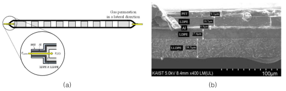 (a) 측면을 통해 기체 침투 현상과 (b) 다층 구조 필름의 SEM 이미지