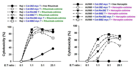 Comparison of CAR T backbones in in vitro cytotoxicity test