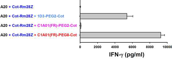 Comparison of anti-cotinine CAR T cell activation via cotinine- conjugated anti-mCD19(1D3) antibody versus anti-mCD40 scFv-Ck(C1A01) antibody