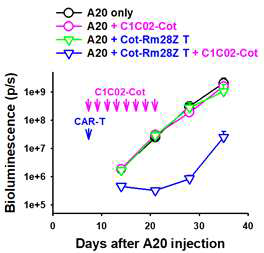 Quantification of tumor burden through bioluminescence analysis