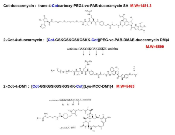 Chemical structure of cotinine-conjugate cytotoxic drugs