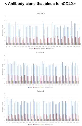 Screening of anti-hCD40 Abs by ELISA method