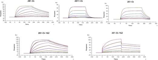 anti-hCD40 항체 5종에 대한 surface plasmon resonance(SPR) 분석