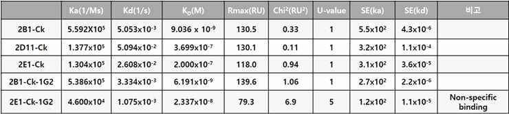 anti-hCD40 항체 5종에 대한 surface plasmon resonance(SPR) 분석 결과