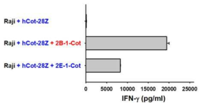 Activation of anti-cotinine CAR T cells via cotinine-labeled anti-hCD40 Abs