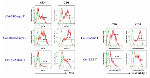 Anti-cotinine CAR transduction efficiency in mouse T cells