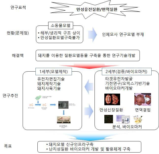 전체 연구 개요도