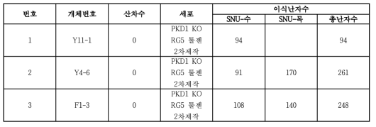 PKD1 KO (툴젠) 세포 유래 복제수정란 이식 결과