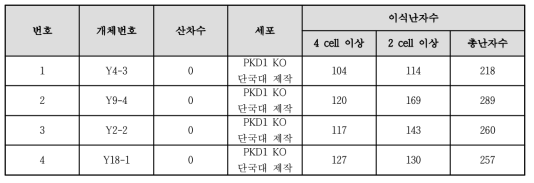 PKD1 KO (단국대) 세포 유래 복제수정란 이식 결과