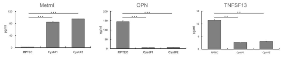 대조군으로 RPTEC(renal proximal tubular epithelial cell)을 이용하여 다낭신 낭종 세포인 cyst #1, #2의 세포 배양액에서 바이오 마커 후보군의 단백질양을 ELISA 방법으로 비교 조사함