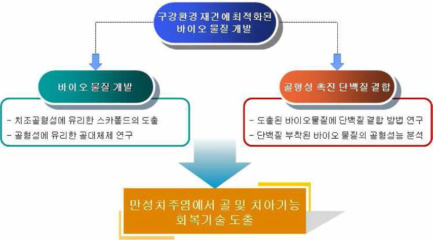 고령 환자에서 치아기능회복을 위한 바이오물질 개발 과정 및 필요성