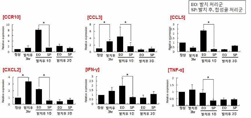 발치 투 합성골 처리에 의한 inflammatory chemokine과 cytokine들의 발현 변화