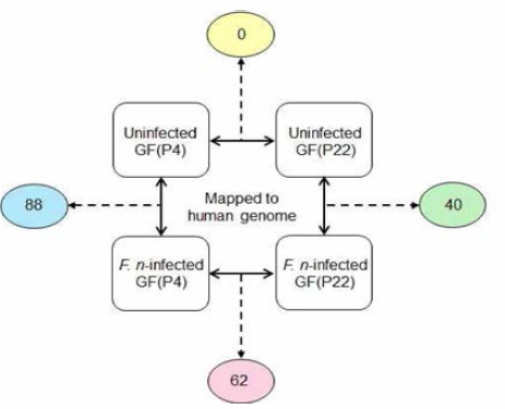 The RNA-seq data was mapped into the hum an genome and compared to each other. The number of DEGs from each comparison is indicated in the circle