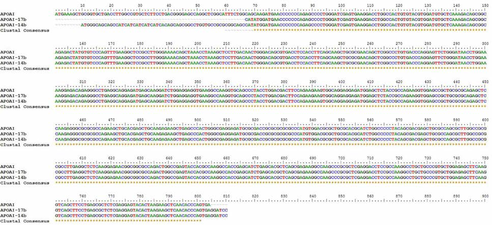 APOAI mRNA sequence 와 pET14b_APOAI 및 pET17b_APOAI 의 sequence alignment