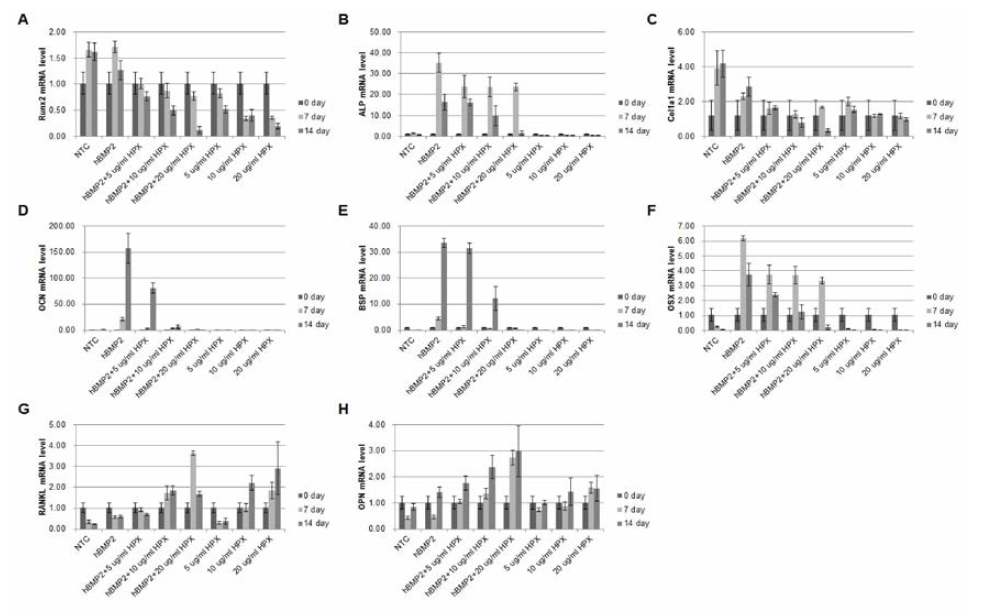 HPX에 의한 조골세포 분화마커의 발현 조절