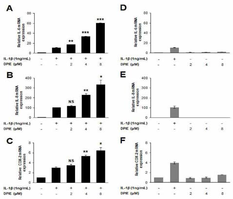 IL -1β에 자극 받은 GFs에서의 증성 사이토카인 생산의 mRNA 발현 수준에 대한 DPIE이 효과 (A), (D) IL -6，(B)，(E) IL -8，(C)，(F) COX-2