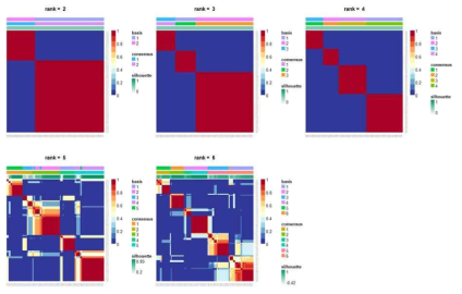 CPM 데이터에 대한 합의 행렬(consensus matrix)