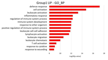 그룹 1의 고발현 유전자 GO 분석 결과