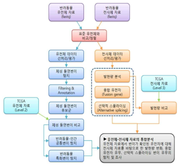 TCGA 데이터 기반 반려동물-인간 공통변이 및 반려동물 특화변이에 대한 유전체-전사체 통합분석