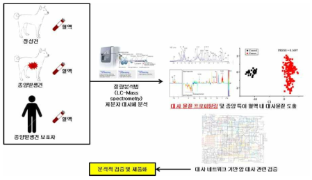 대사체 정보 프로파일링을 통한 실험군 분류 분석의 흐름도 예시