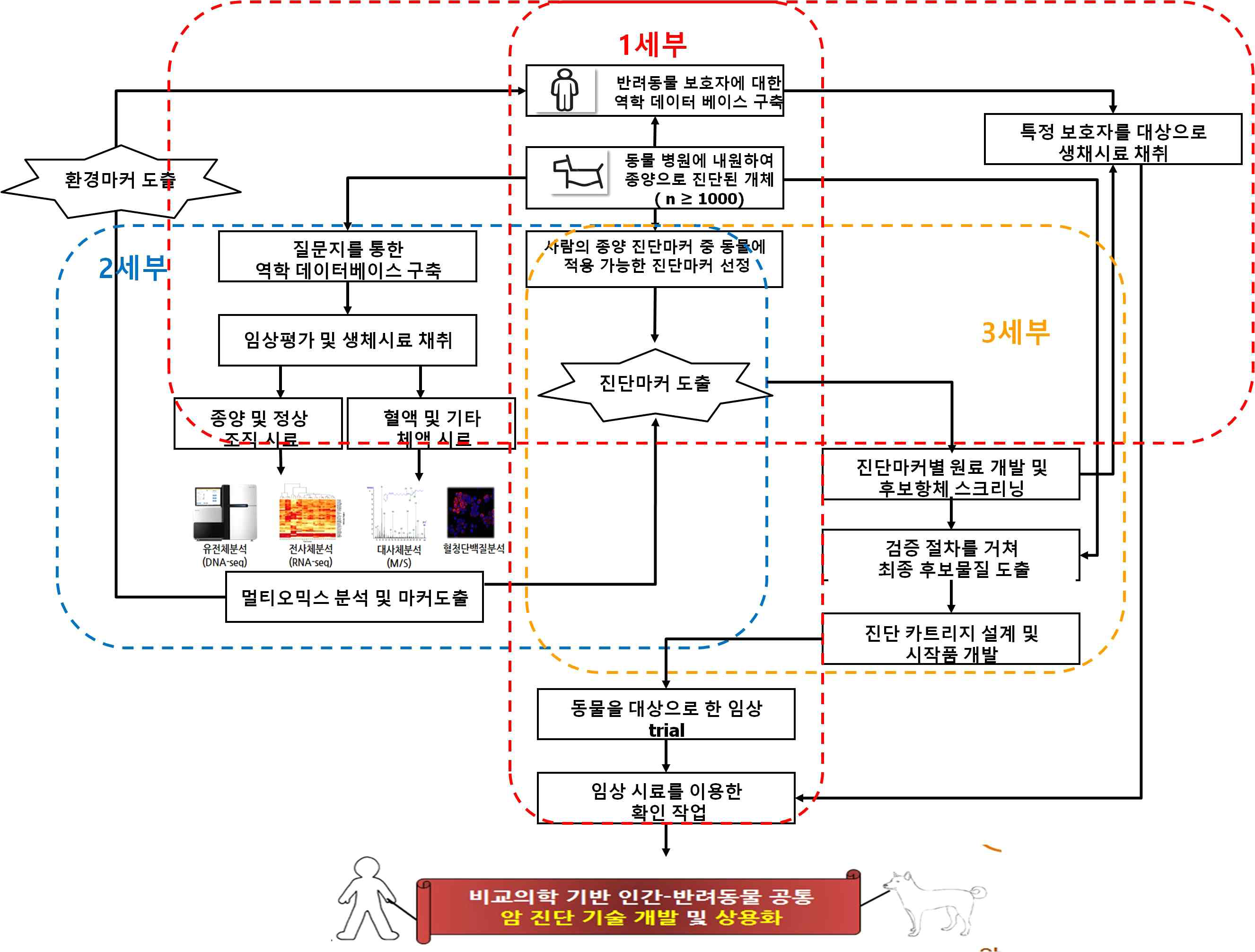 세부과제별 연구계획 및 추진 내용에 대한 모식도