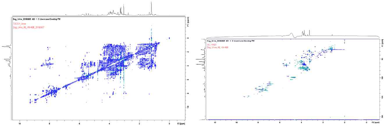 한 소변 시료의 2D-NMR 분석 결과(좌: TOCSY NMR spectra, 우: HSQC NMR spectra)