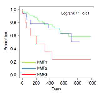NMF1-3 그룹에 속하는 종양견에 대한 생존분석
