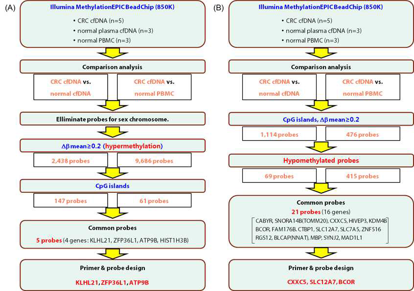 정상인의 cfDNA 및 PBMC와 비교 분석을 통한 CpG island에서의 대장암 특이 과메틸화 마커(A)와 저메틸화마커(B) 선별 과정
