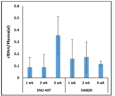 대장암 세포주 (SNU-407, SW620)에 대한 xenograft의 종양 생성 후 혈장으로부터 추출한 cfDNA 양의 변화
