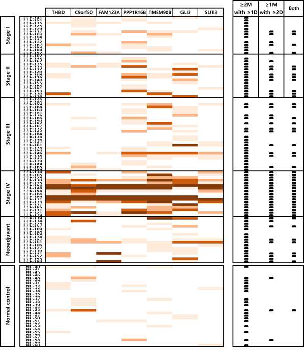 91개의 대장암 샘플과 30개의 정상인 샘플들을 대상으로 7개 메틸화마커들의 ddMethyLight 결과를 Heat-map으로 표시하였음. 대장암 샘플은 병기에 따라 분류하여 표시하였음. 오른쪽에는 메틸화 양성 droplet(D) 수가 1개 이상(>1D)인 마커가 2개 이상(>2M)인 경우, 양성 droplet(D) 수가 2개 이상 (>2D)인 마커가 1개 이상 (>1M)인 경우, 그리고 두 기준에 부합하는 샘플들에 대해 표시하였음