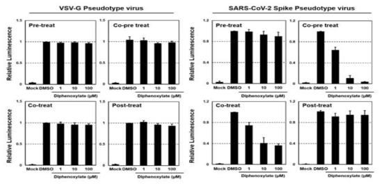 VSV-G 및 SARS-CoV-2 Spike (WT) pseudotyped 바이러스를 이용한 Diphenoxylate의 바이러스 저해능 확인. 293T세포에 각 pseudotyped 바이러스와 diphenoxylate를 Pre-treatment(세포에 1시간 처리 후 바이러스 감염), Co-pre treatment(바이러스에 1시간 처리 후 감염), Co-treatment(바이러스 감염과 동시에 처리), Post-treatment(바이러스 감염 후 처리)의 방식으로 처리후 diphenoxylate를 첨가하여 100 μM, 10 μM, 1 μM의 농도로 처리하였음