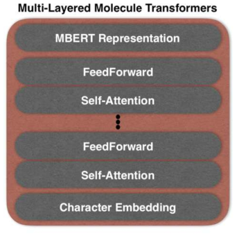 Molecule Transformer Architecture