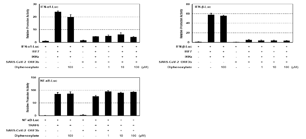 Dipehnoxylate에 의한 ORF3b immune modulator 조절능 검증. 293T 세포에 ORB3b 및 IFN-α, IFN-β, NF-κB를 각기 다른 조합으로 세포에 transfection후 각기 다른 농도의 dipehnoxylate를 처리후 transcriptional activitiy를 luciferase activity로 측정함