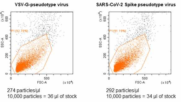 획득한 VSV-G 및 SARS-CoV-2 Spike 슈도바이러스를 FACS analysis를 통해 정량 분석 수행