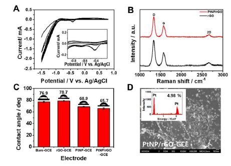 PtNP/rGO 전극의 물리적 특성평가