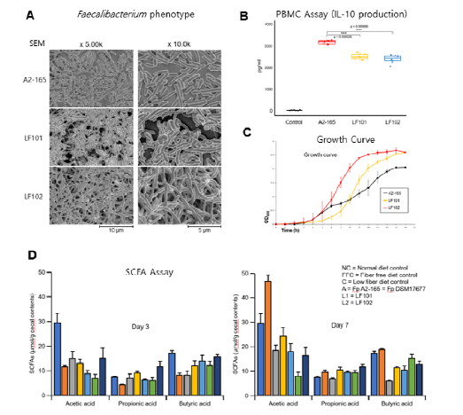 선별된 질환 관련 Faecalibacterium prausnitzii 스트레인의 기초 연구