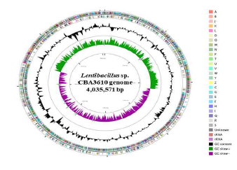 Circular map of the Lentibacillus sp. CBA3610